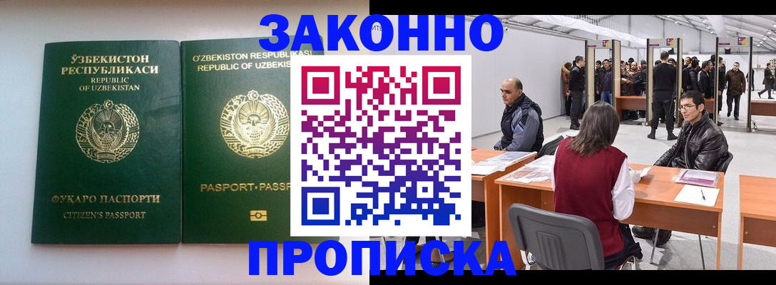 временная регистрация поиск в Курской области